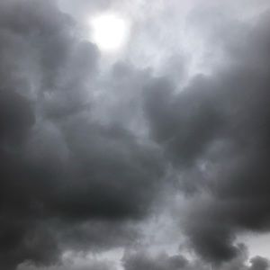 Meet your Posher, Alec